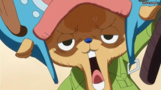 ワンピースアニメ WCI編 783話 チョッパー かわいい Tony Tony Chopper | ONE PIECE Episode 783