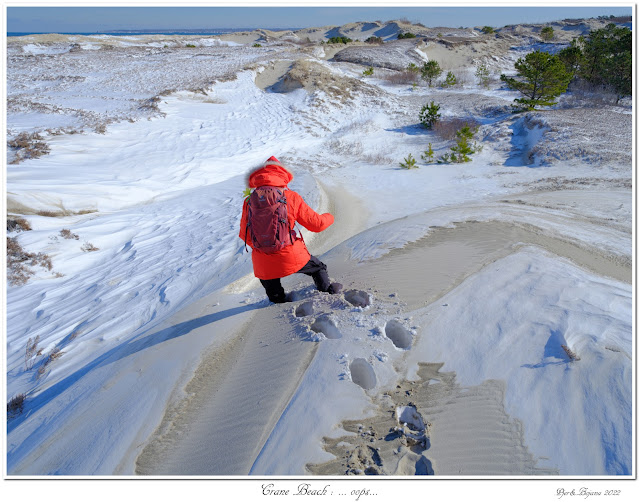 Crane Beach: ... oops...