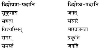 Solutions Class 8 रुचिरा Chapter-7 (भारतजनताऽहम्)