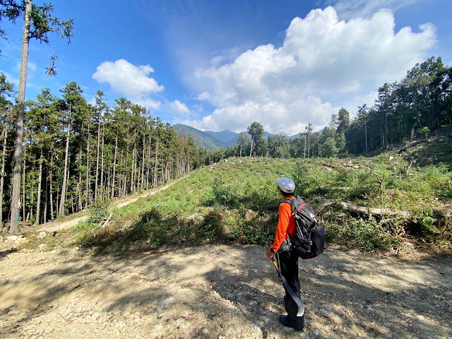 砂連山下山