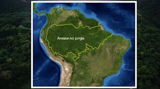 अमेज़न का जंगल किस देश में है - amazon ka jungle kis desh mein hai