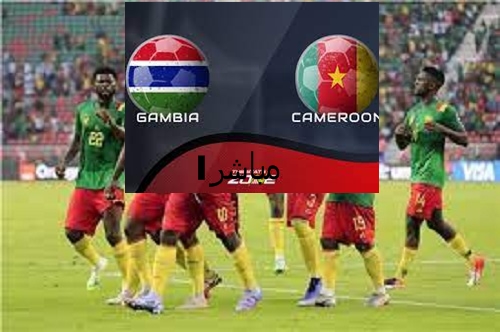 الكاميرون وجامبيا بث مباشر cameroon vs gambia