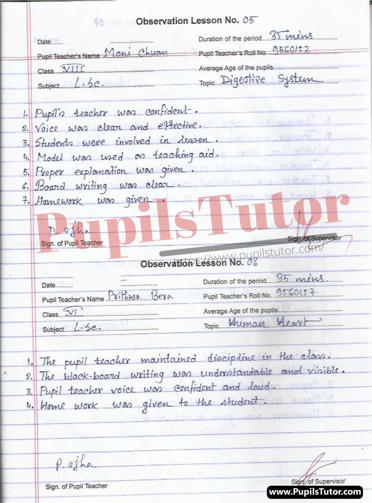 Class/Grade 6 To 12 Biological Science Observation Teaching  Lesson Plan On Digestive System, Parts Of Flowers, Plant Movement, Population Control, Human Hearth, Photosynthesis, Living Organism, Adolescence, Food Chain, Chromosome For CBSE NCERT KVS School And University College Teachers – (Page And Image Number 3) – www.pupilstutor.com