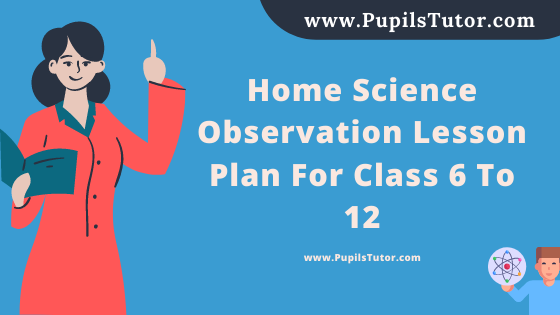 Free Download PDF Of Home Science Observation Lesson Plan For Class 6 To 12 On  Topic For B.Ed 1st 2nd Year/Sem, DELED, BTC, M.Ed On   In English. - www.pupilstutor.com