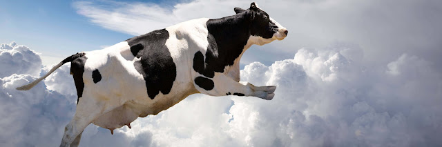 корова летит по небу