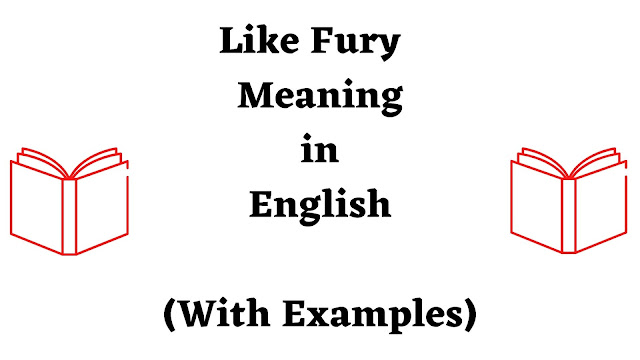 like-fury-meaning-in-english-use-of-like-fury-in-a-sentence