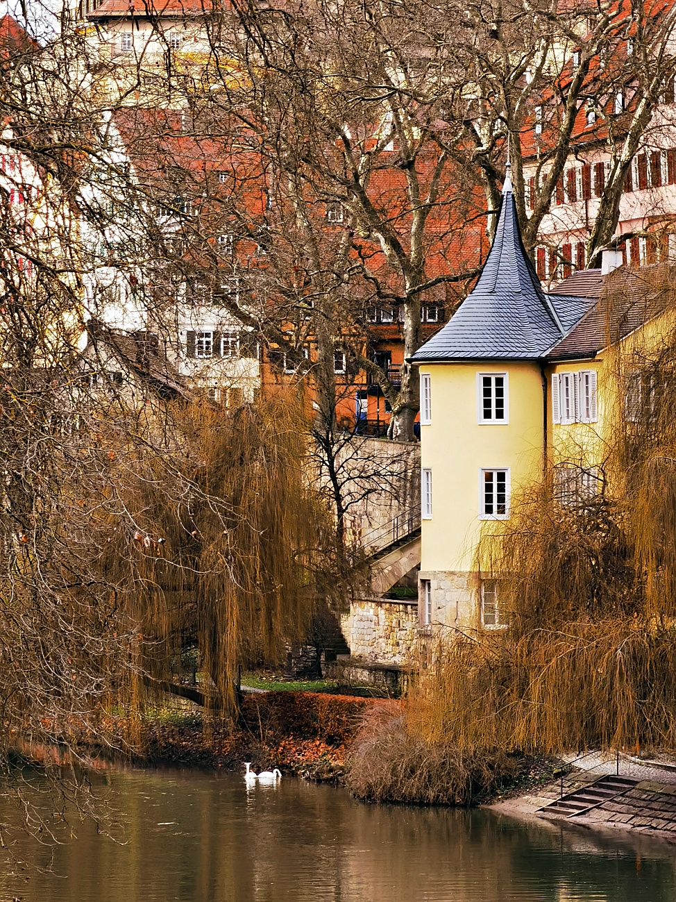 Täglich ein Bild – 08.01.2022 – 8. Tag – Bild #8 – Hölerlinturm mit 2 Schwäne