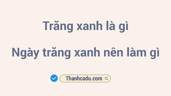 i-ngay-trang-xanh-nen-lam-gi