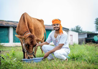 गाय पालन