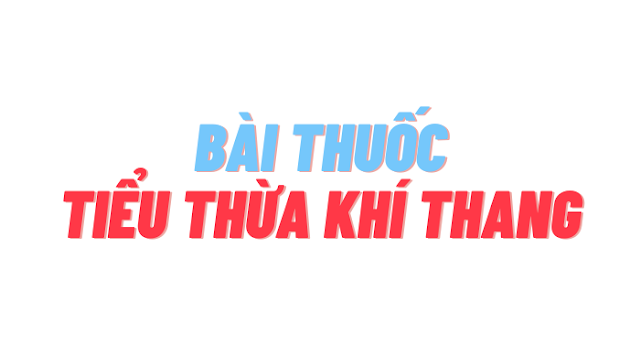 Bài thuốc tiểu thừa khí thang