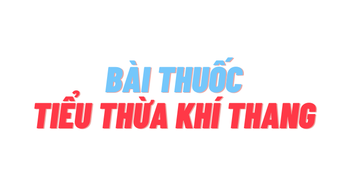 BÀI THUỐC TIỂU THỪA KHÍ THANG