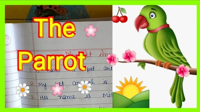 Essay on Parrot for Kids 500+ Words