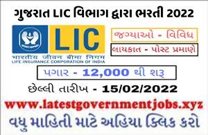 Vadodara LIC Department Recruitment For Carrer Agent 2022