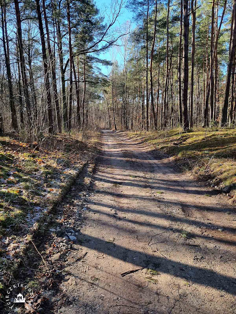 Mazowiecki Park Krajobrazowy