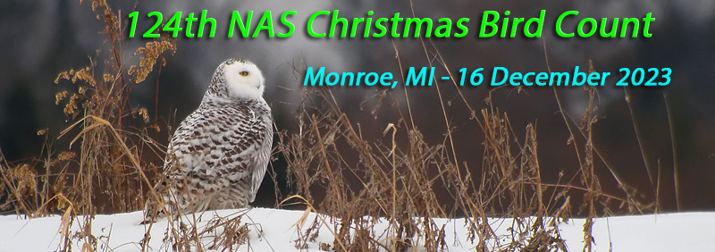 Monroe, MI Christmas Bird Count