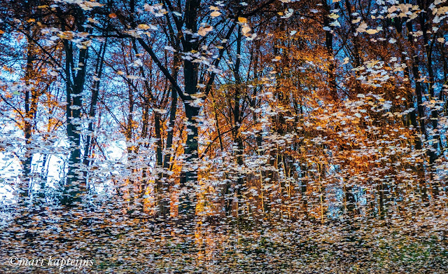 www.jetjesdag.nl | Mari Kapteijns fotografie | De Stabrechtse heide |