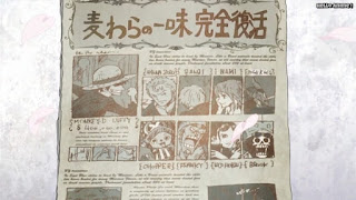 ワンピースアニメ ドレスローザ編 738話 サボ エース 墓参り | ONE PIECE Episode 738