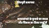 मगरमच्छो के कुनबे का  मटन और चिकन का डिनर चर्चा में- Shivpuri news 