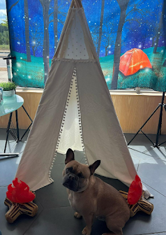 Dog sitting in front of tent