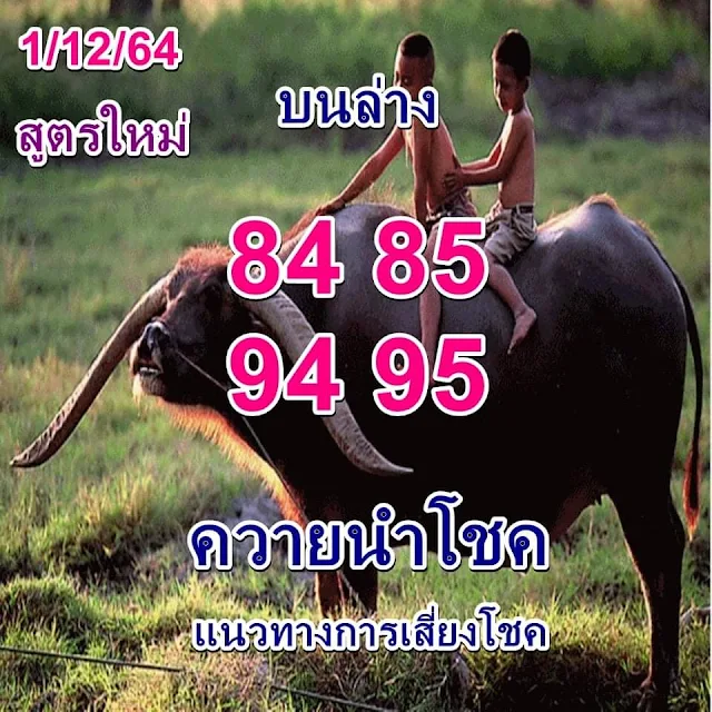 Game Open Thai Lottery VIP paper 1/02/2022 thai lottery today | thailand lottery result 2022 | 1-2-2022 Thailand Lottery Buffalo Paper