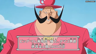 ワンピースアニメ WCI編 816話 タマゴ男爵 Baron Tamago | ONE PIECE Episode 816