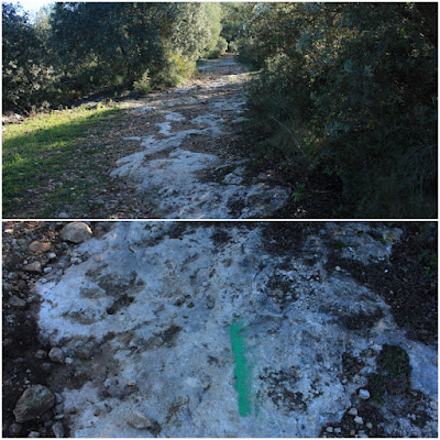 CIMS I COTES DEL BAIX PENEDÈS - BELLVEI AL CASTELL DE LA MUGA, corriol en direcció a La Muga, per l'antic camí de carro, Ruta-1