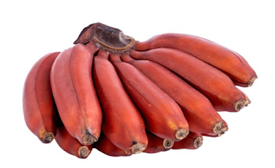 Red banana
