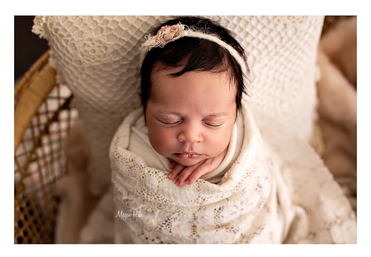 Louisville Newborn Photographer :: Megan Hile Photography