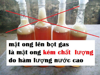 Mật ong thật có ga không?