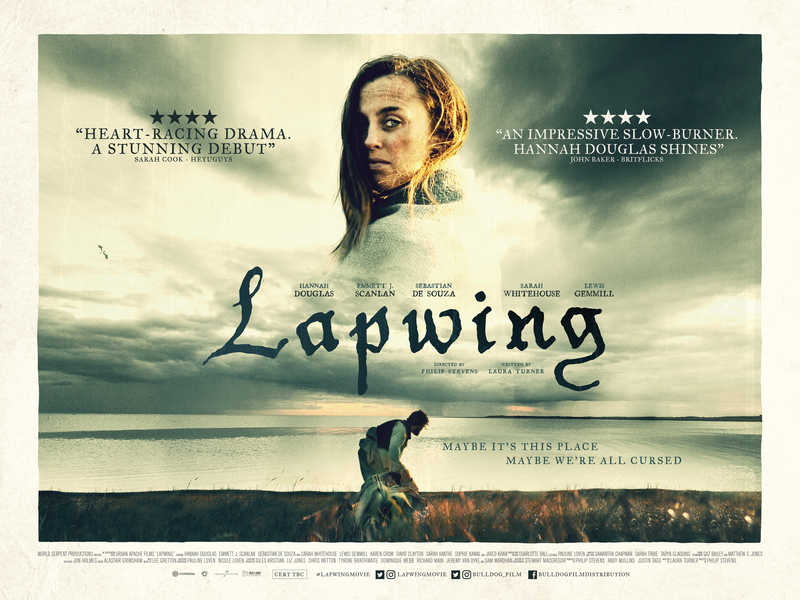 lapwing poster