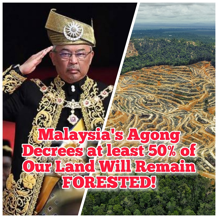 Malaysia's Agong Decrees at Least Half of Our Country Remains Forested