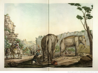 Вид 148 : [Tome 3. Pl.27 double : faune de l'Inde.] Eléphants et chameaux. [cote : Réserve DS 421 S 69 t1 à 4]