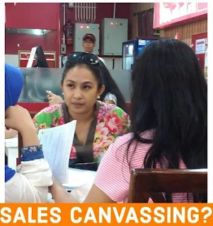sales-canvassing