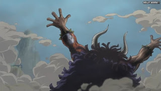 ワンピースアニメ ドレスローザ編 739話 四皇 百獣のカイドウ KAIDO | ONE PIECE Episode 739