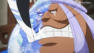 ワンピースアニメ 1007話 ワノ国編 | ONE PIECE 大マサ OMASA CV.服巻浩司