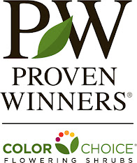 Proven Winners ColorChoice - Live plants