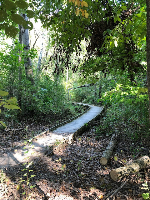 A boardwalk winds along the trail.