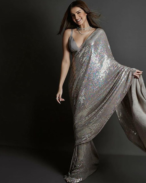 Silver sequin saree