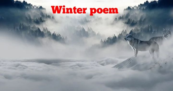 Funny winter poems