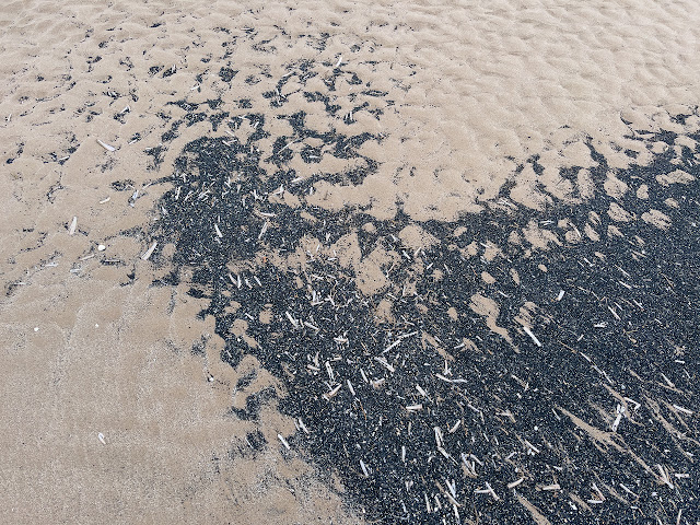 Sand patterns