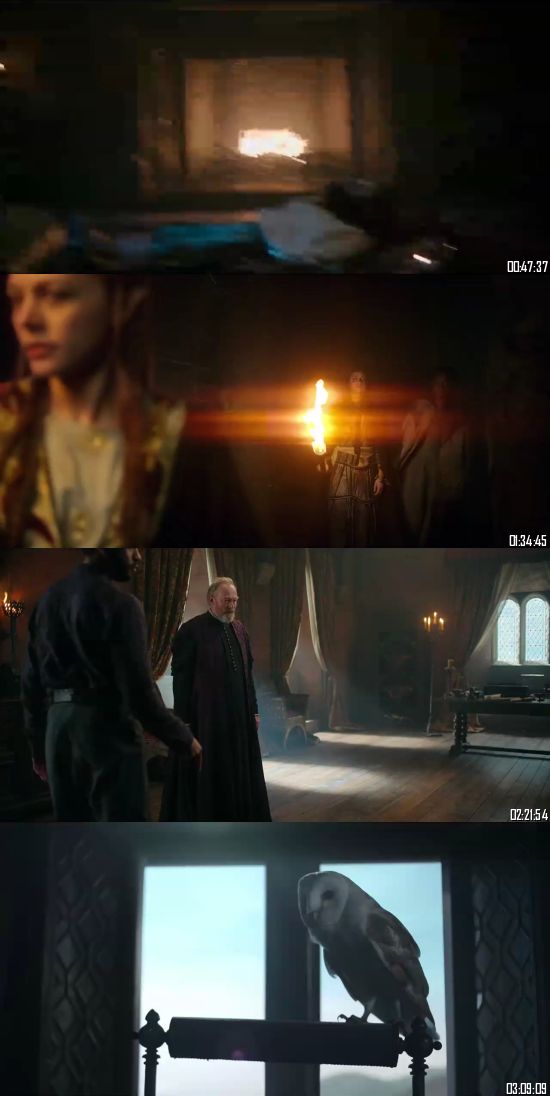 The Witcher 2021 S02 Dual Audio Hindi WEB Series 720p 480p WEB-DL