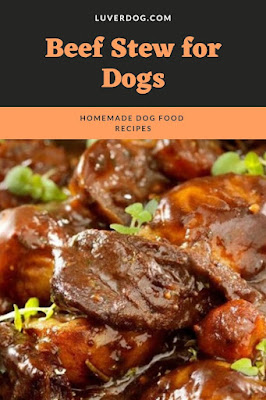 Beef Stew for Dogs