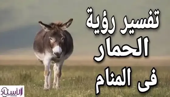 Interpretation-of-seeing-donkey-in-dream