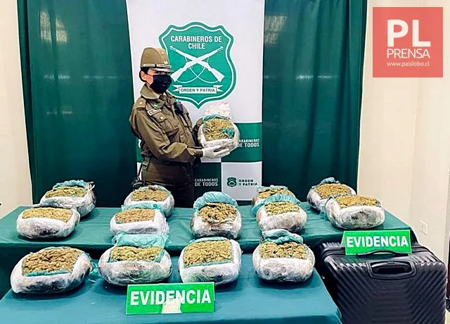 Encuentran $150 millones en drogas en bus interprovincial