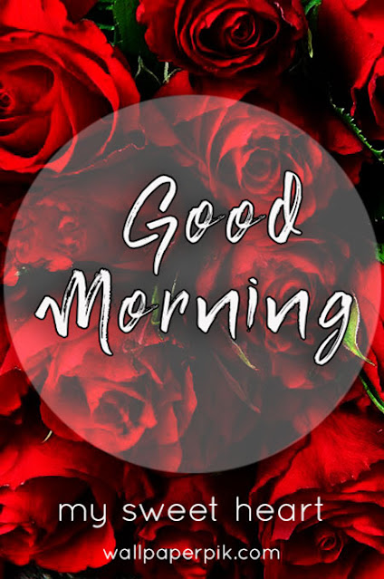 good morning images with rose flower