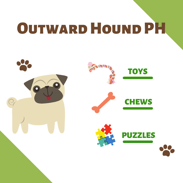 Outward Hound PH: The Coolest Online Shop for Pet Toys, Chews & Puzzles