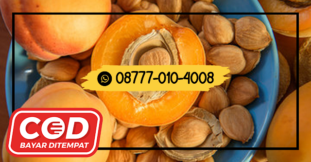 08777 010 4008 DISTRIBUTOR KACANG ALMOND CALIFORNIAKayong Utara