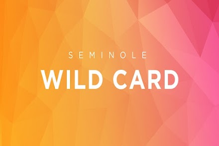 How To Have Seminole Wild Card Login?