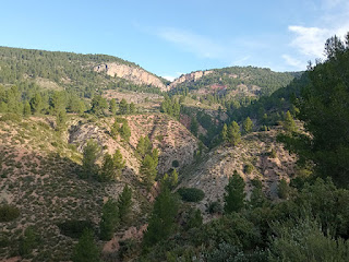 Serranía baja de Cuenca. PR-CU 11