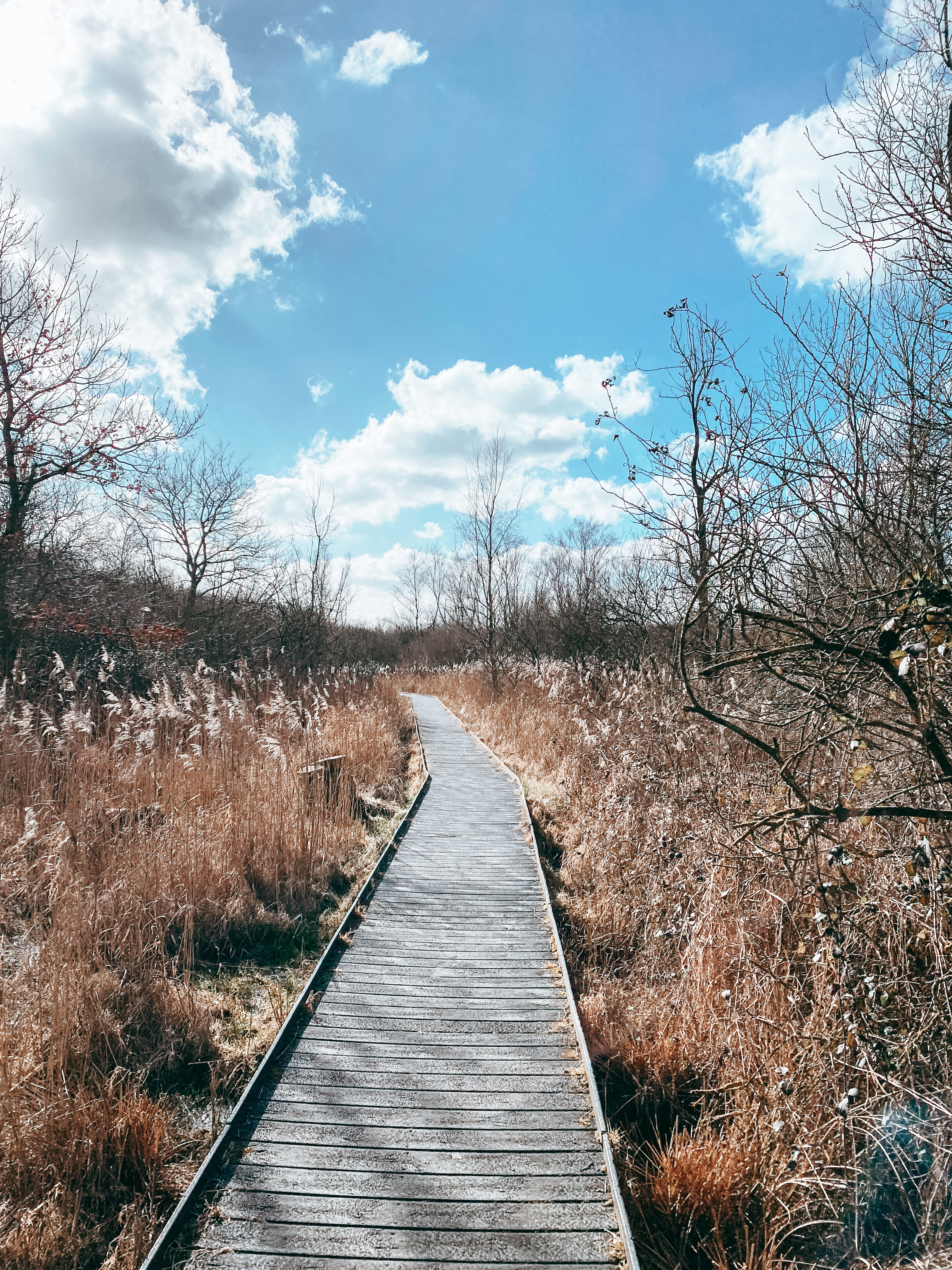 Wicken Fen, Cambridgeshire